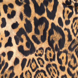 ©-fishkiss-swimwear.com